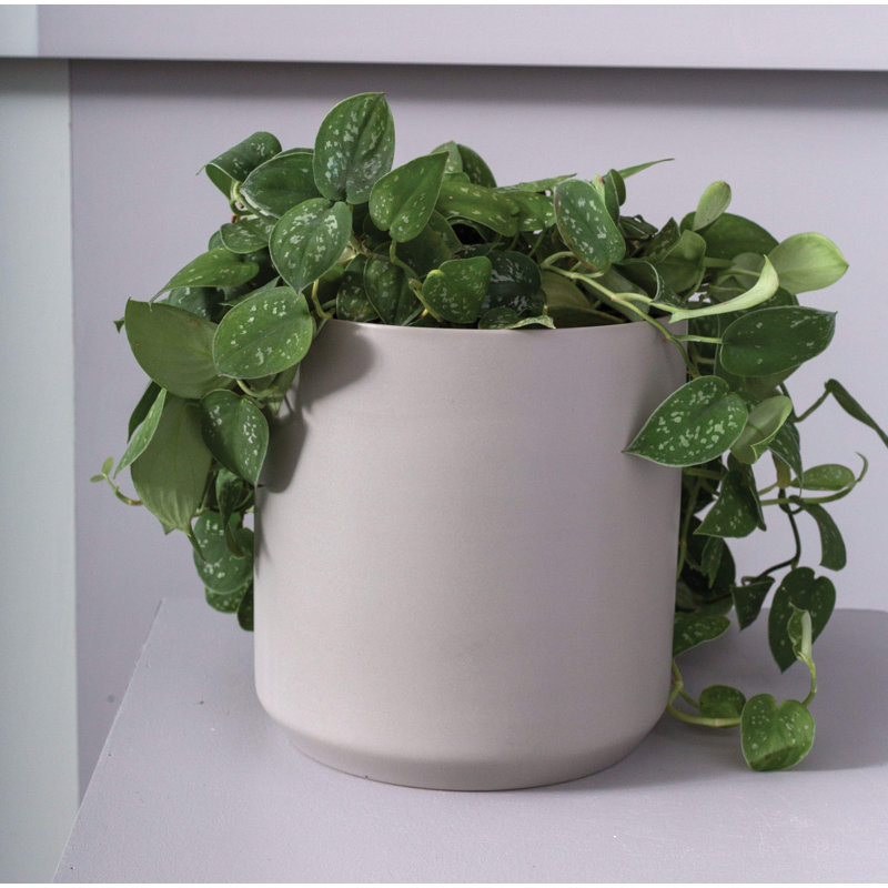Parsons Handmade Ceramic Pot Planter, Gray, 6.75" H x 7" W x 7" D