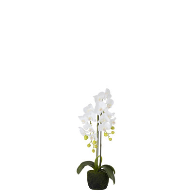 Silk Orchid Arrangement