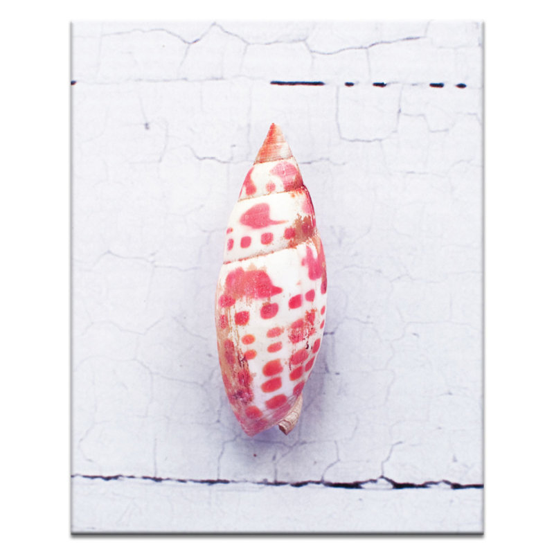 Wrapped Canvas Print, 51 cm H x 41 cm W