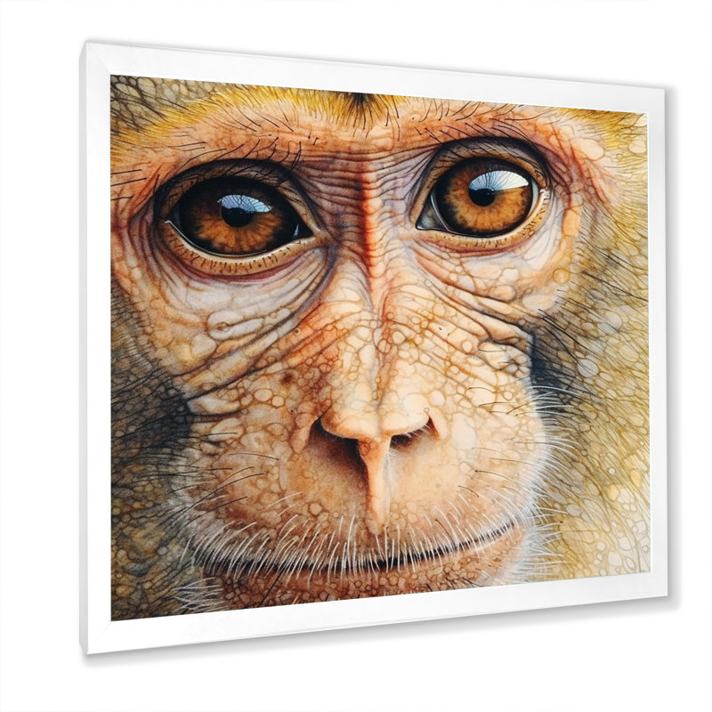 Wild Monkey III - reproduction sur toile, H 30 po x l 30 po x P 1 po, Cadre simple blanc