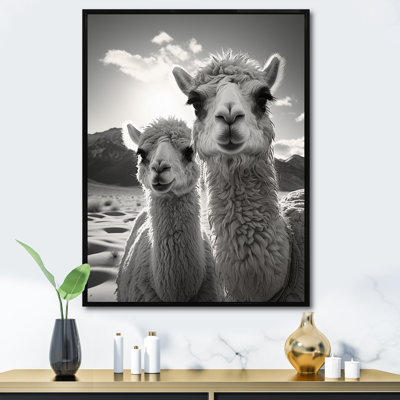 Lipke " Camel Harmony In Monochrome "