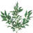 27" Artificial Willow Leaf Branch-970445570