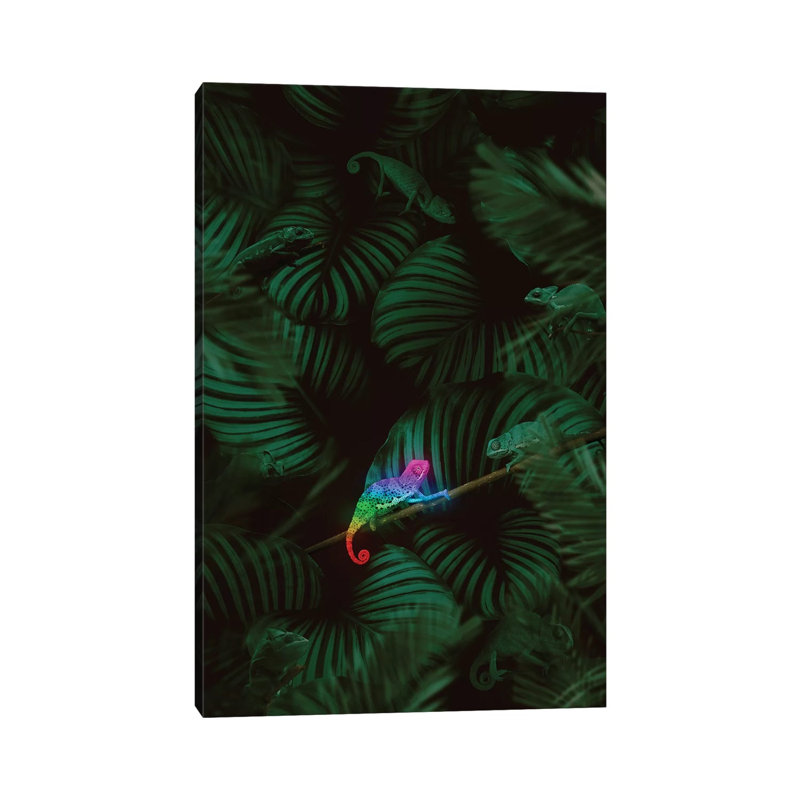 Proud To Be Different by Jonas Loose - Wrapped Canvas Print, 101.6 cm H x 66.04 cm W x 1.91 cm D