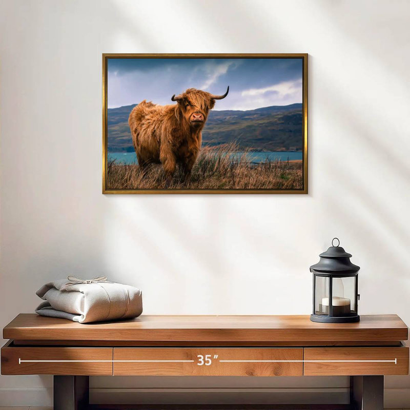 Grande vache Highland, Cadre flottant doré, 19 po x 13 po