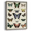 «Flutterbys II», reproduction encadrée - bois massif-145576992