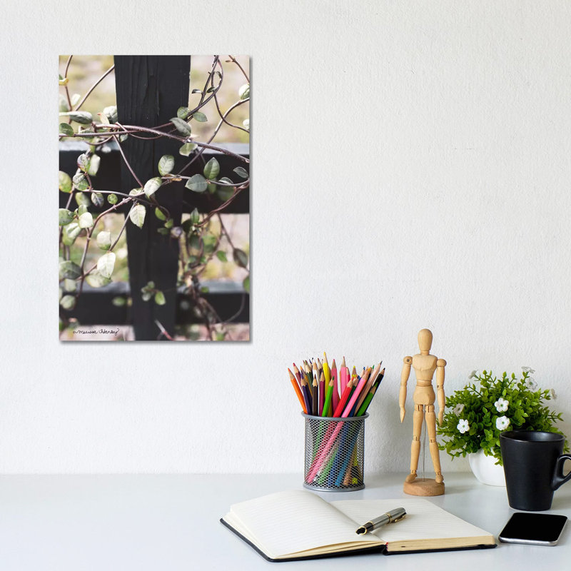 Fence Vine 1 Piece Wrapped Canvas Wall Art, 20.32 cm H x 30.48 cm W