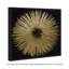 «Abstract Sunburst Golden Night», impression-51241197-119864312-51241195