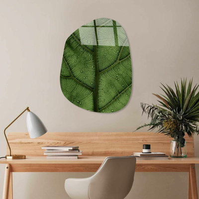 Boze Wall Decor