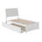 Fitzsimmons Solid Wood Platform Bed with Panel Footboard and Trundle-202233320