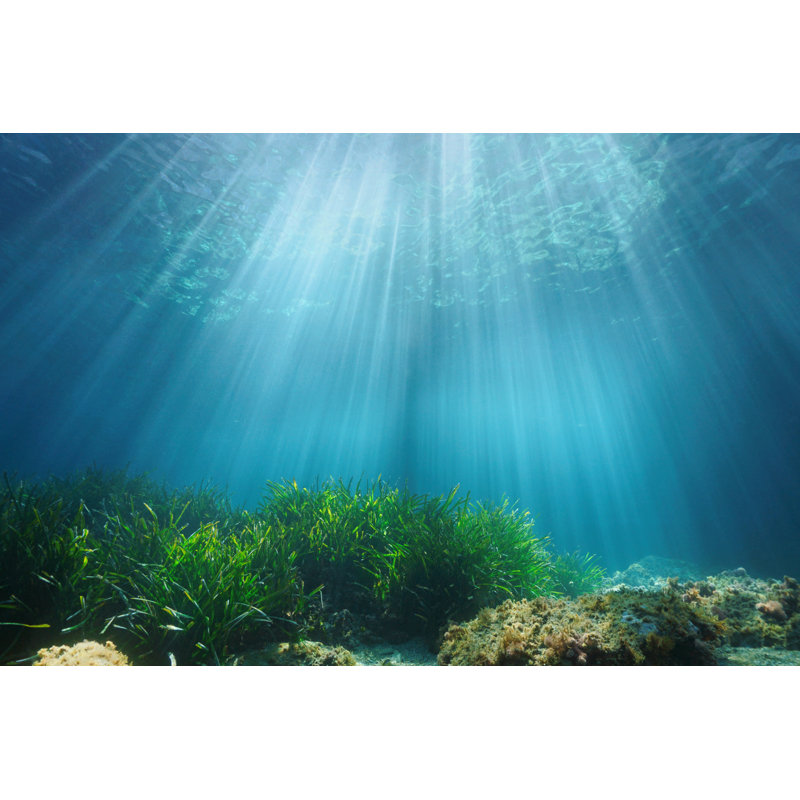 Sunlight Underwater Surface by Damocean - Wrapped Canvas Print, 30cm H x 46cm W x 3.8cm D