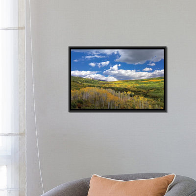 «Gunnison National Forest in Fall, Colorado» par Tim Fitzharris sur toile de coton / polyester de qualité artiste