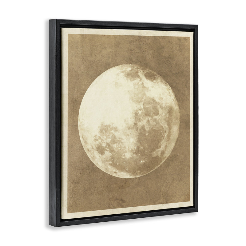 «Rustic Neutral Moon Gray» par Daphne Polselli, Cadre flottant noir de jais, H 21 po x l 17 po