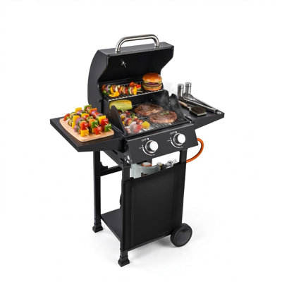 2 Burner Propane Gas Grill with Cart, 16,000 BTU Portable Stainless Steel BBQ Griddle Grill