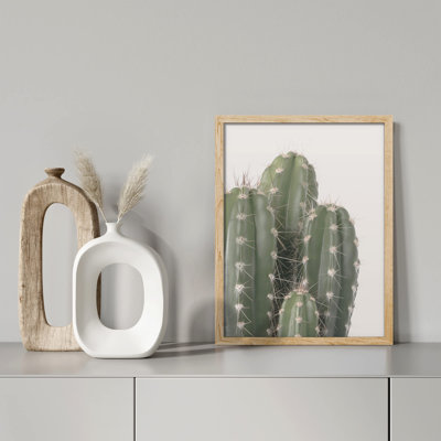 " Cactus Succulent Southwest Texas Mexico Saguaro "
