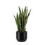 30" Artificial Snake Plants in Black Pots