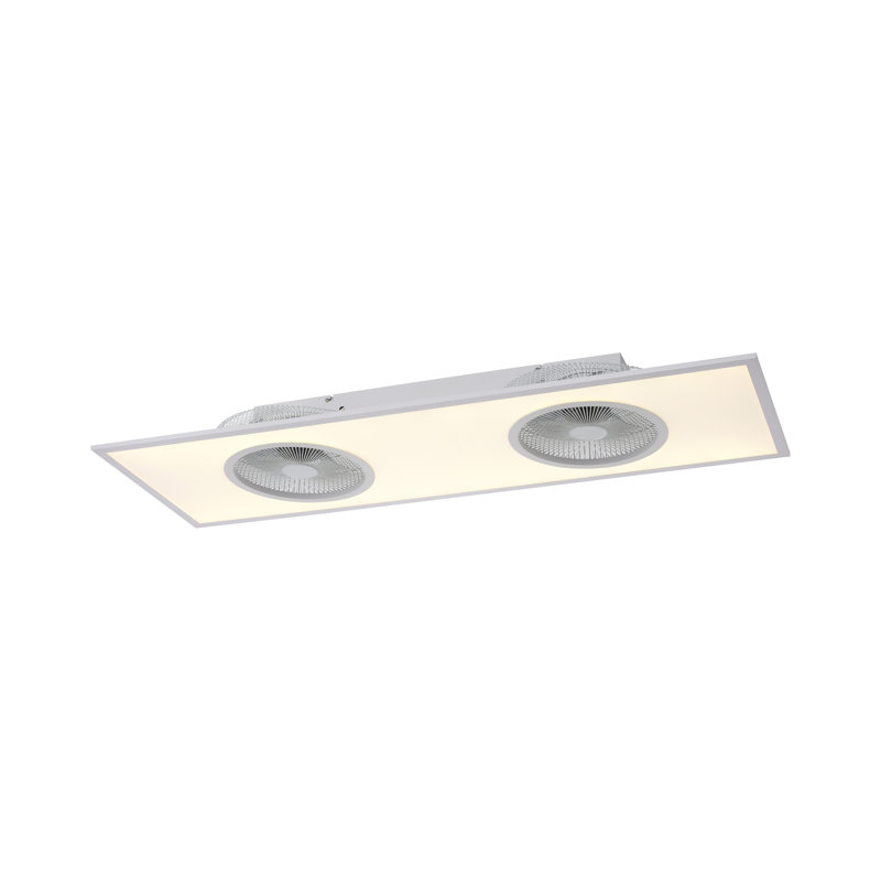 Deidra Ceiling Fan with LED Lights