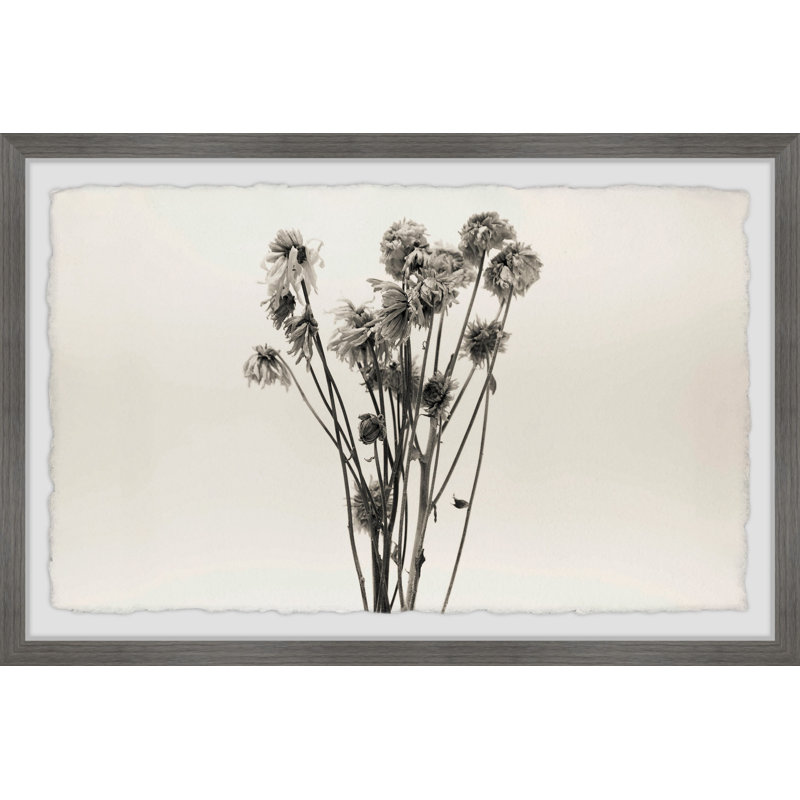 Dandelion In Grey - Single Picture Frame Painting, 20 cm H x 30 cm W
