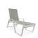 Holna Outdoor Rust-Resistant Metal Chaise Lounge
