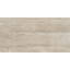 Toscano 12" x 24" Porcelain Field Tile in Classico-70884527