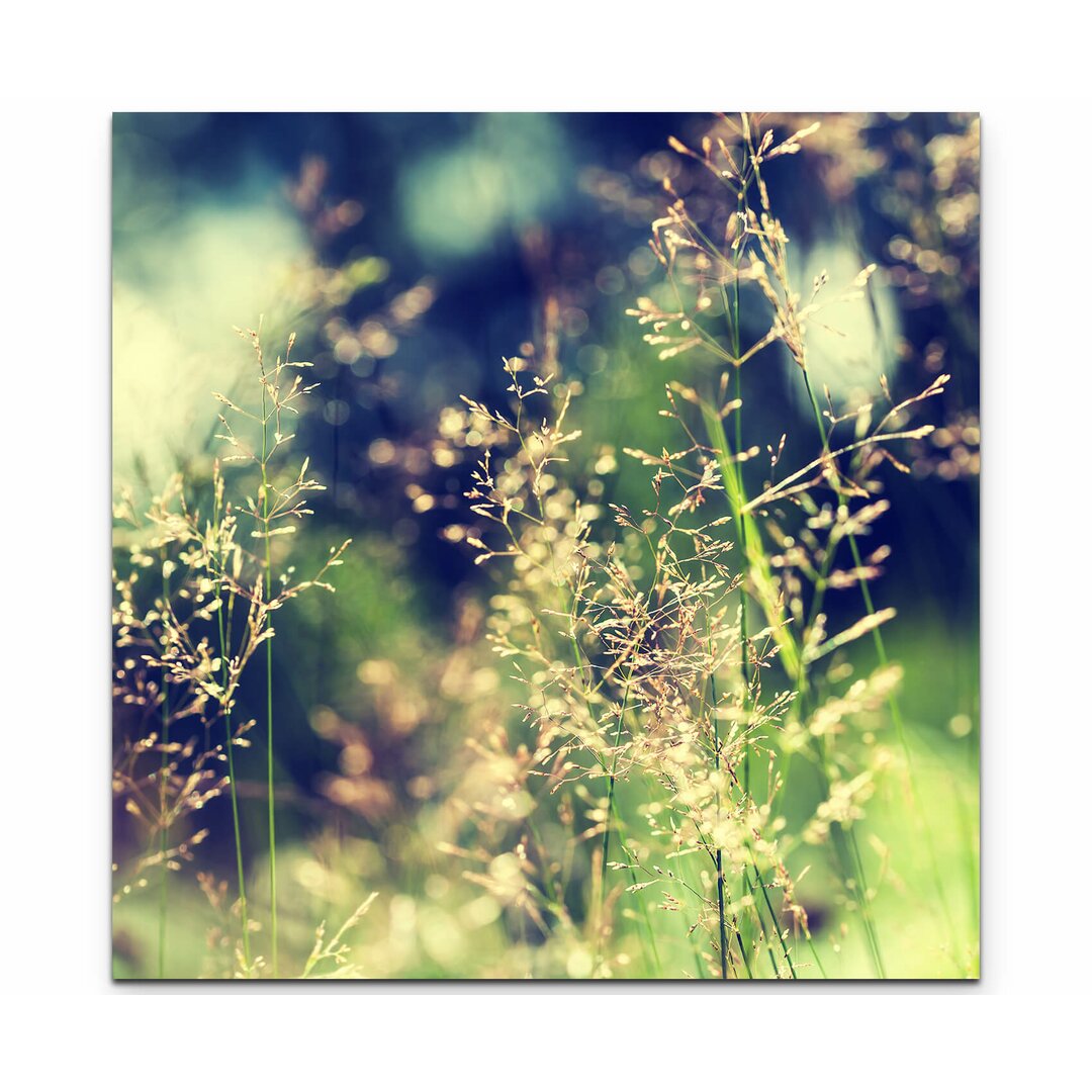 Leinwandbild Wildgras im Wald