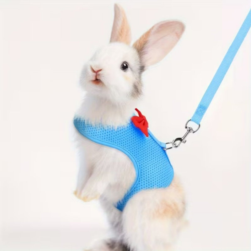 Ensemble de harnais et de lapin Rabbit, Blue