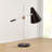 Metal Desk Lamp