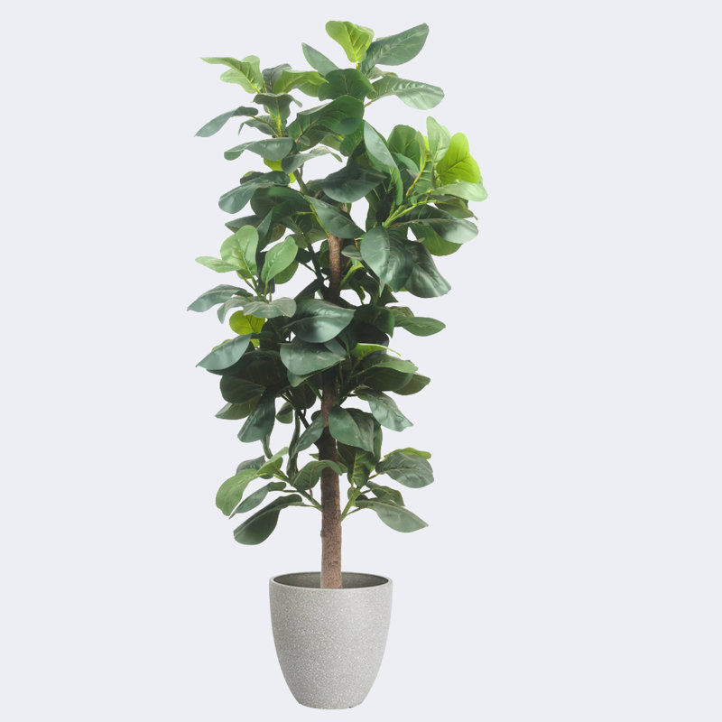 Pots à fleurs artificiels en figuier et résine, Gris, H 19,69 po x l 62,99 po x P 19,69 po