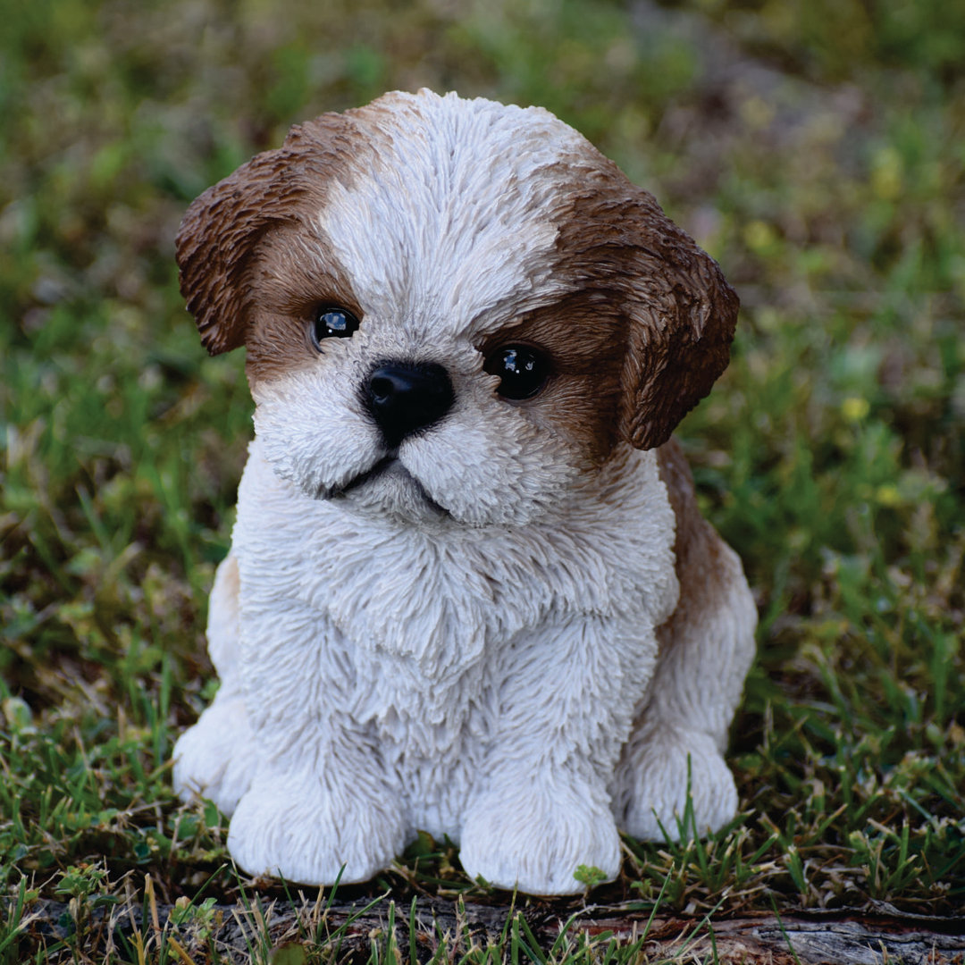 Sitting Shih Tzu Puppy Statue Hi-Line Gift Ltd. Color: Brown/White