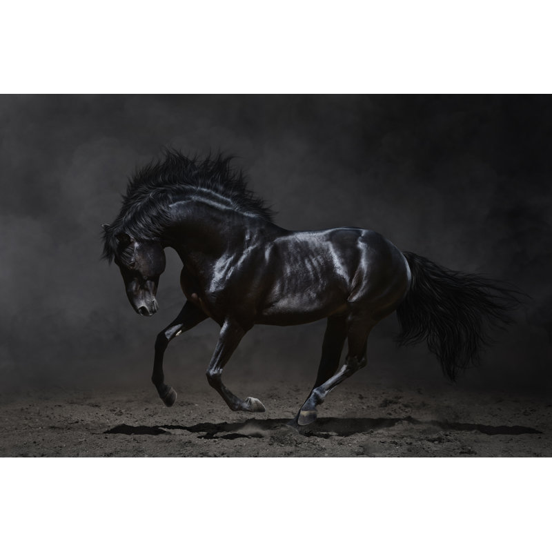 Black Stallion Print, 40" H x 60" W
