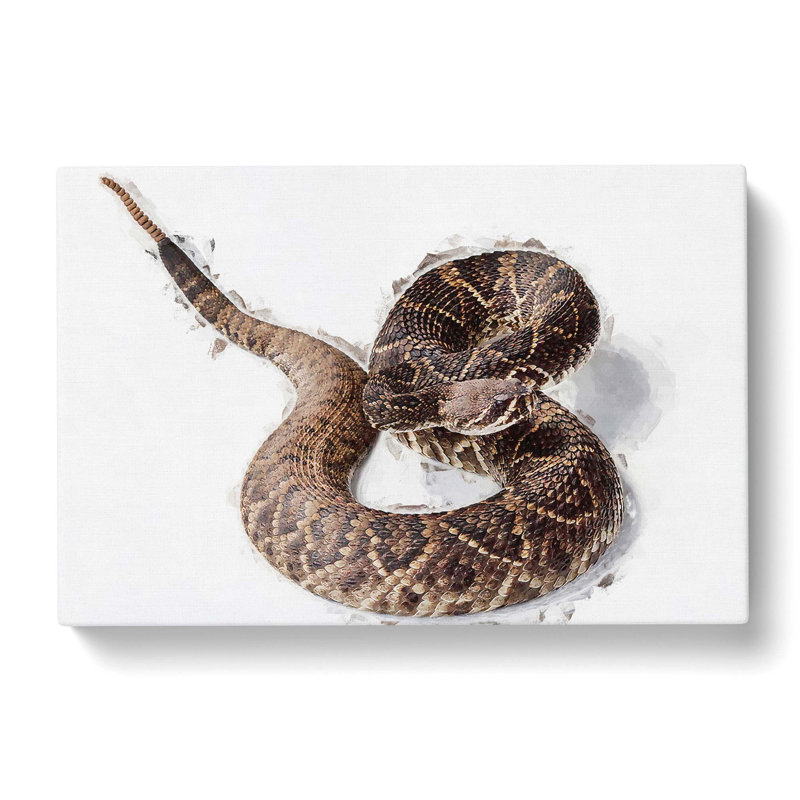 Close To A Rattle Snake In Abstract - Wrapped Canvas Print, 60cm H x 91cm W x 3cm D