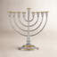 Roseland Menorah-2106433020