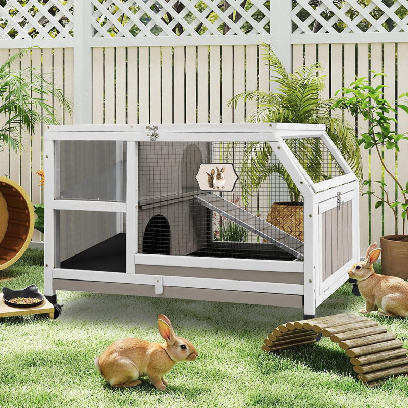 Cage à lapin à deux étages Rodrick