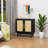 Latish Accent Cabinet-1965005340