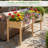 Outdoor Raised Garden Bed With Legs 73x23x30in Wood Planter Box With Divider Panel-159864000