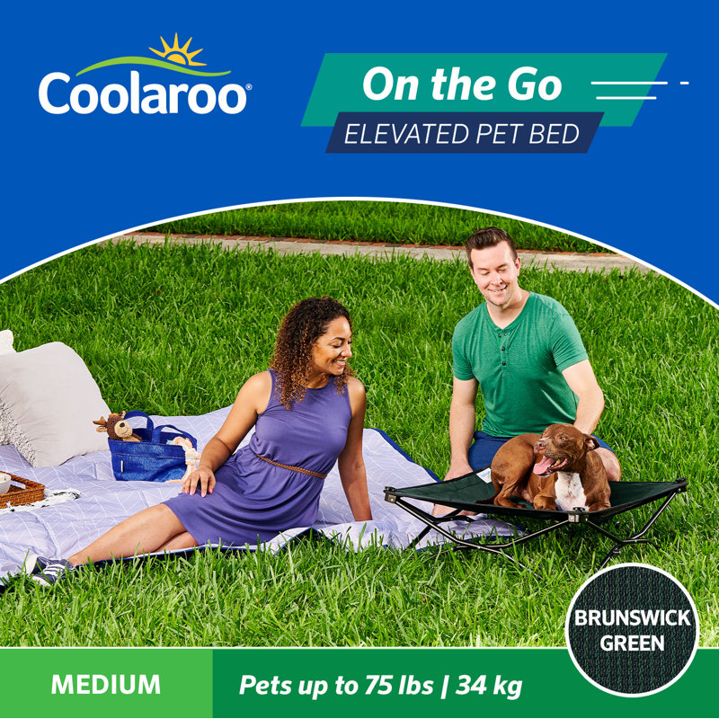 Medium Green Elevated Folding Pet Bed with Steel Frame