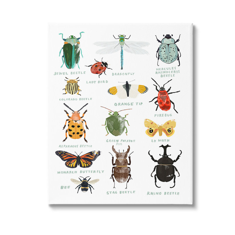 Art éducatif sur toile, "types d'insectes éducatifs" par Hanna Melin, H 48 po x l 36 po