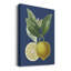 Citron français sur bleu marine II - reproduction d'art sur toile tendue-296069400