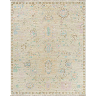 Rectangle Antalya Wool Area Rug