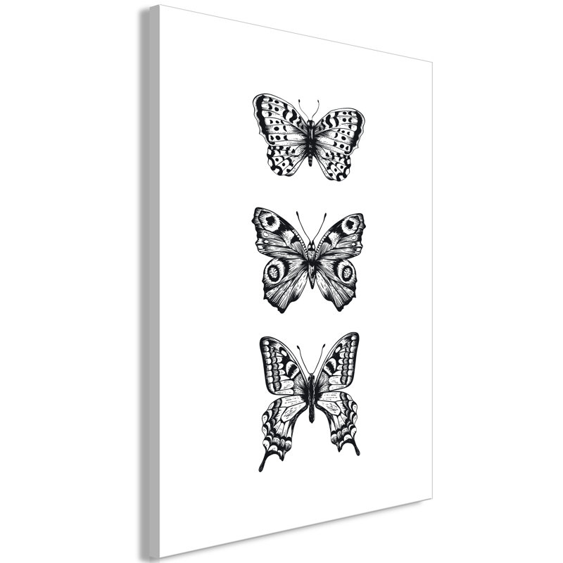 No Frame Print on Canvas, 40cm H x 60cm W