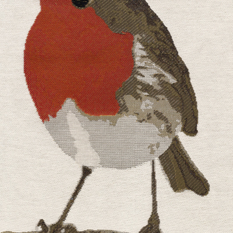 Robin Bird Picnic Tote Bag