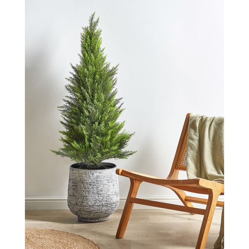 Faux Cedar Tree in Plastic / Acrylic Planter, 120cm H x 40cm W x 40cm D