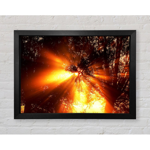Ebern Designs Sun Blaze Above The Winter Tree - Single Picture Frame ...