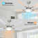 52" RGB Ceiling Fan With Led Light and Remote/APP Control