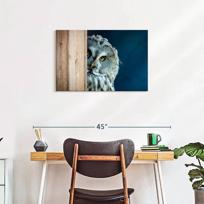 Peeking Owl - impression sur toile tendue, H 20 po x l 30 po x P 1,25 po