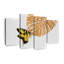 Papillon Monstera, ensemble de 4 reproductions sur toiles 4 pièces-1946089561