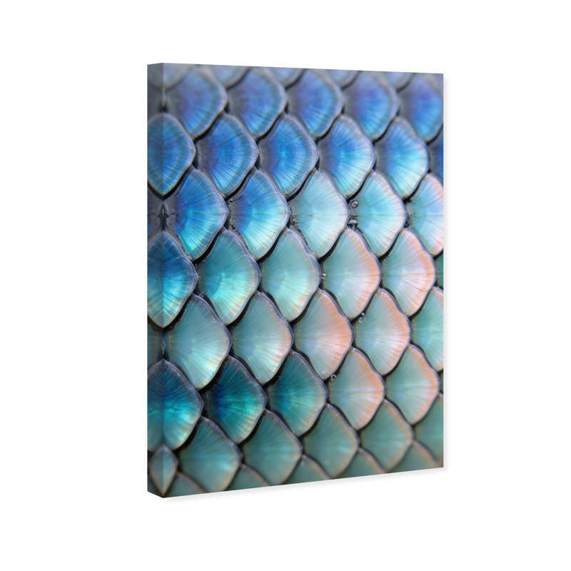 Mermaid Zoom Print by Oliver Gal, 15"H x 10"W, Gallery Wrapped