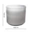 Leon Planter-1927028712-1927028715