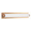 Charleston 24-in Black dimmable LED Bathroom Vanity Light-1074353313