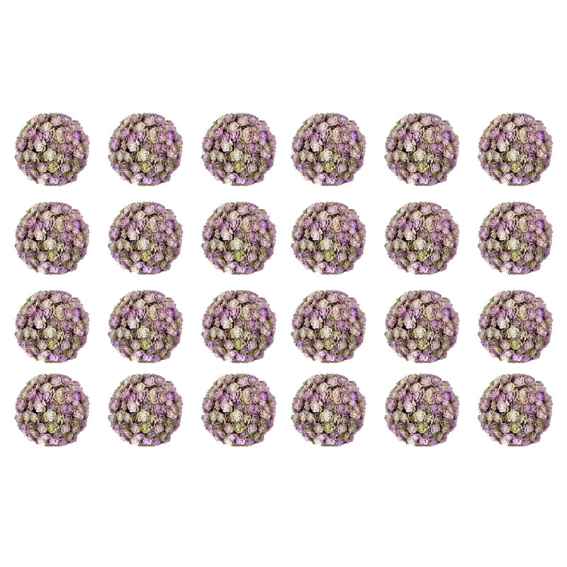 Sedum décoratif, Mauve/blanc