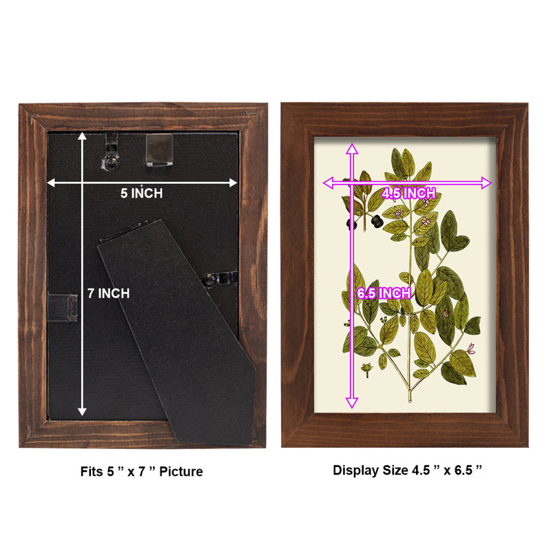 Olive Greenery VII, reproduction d'art encadrée, H 7 po x l 5 po x P 1 po, Châtaigne